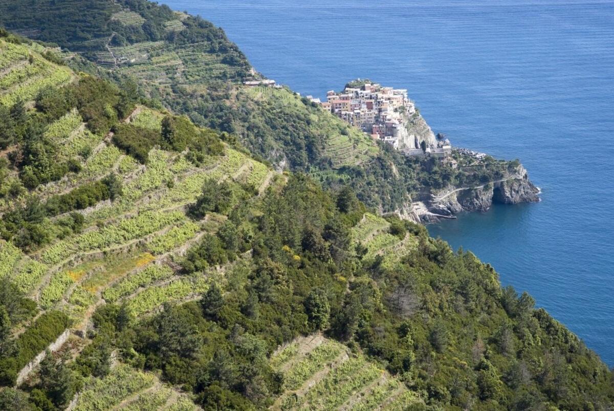 La Casa Fra Gli Ulivi Luxury Apartments With Pool Near Cinque Terre And Tuscany Monte Marcello Kültér fotó